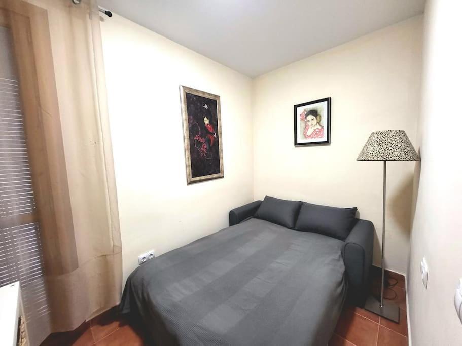 Flamenco, Apartamento Exclusivo De Dos Habitaciones En El Pleno Del Casco Antiguo, Alicante, Playa, Centro Historico, Rambla Exteriér fotografie